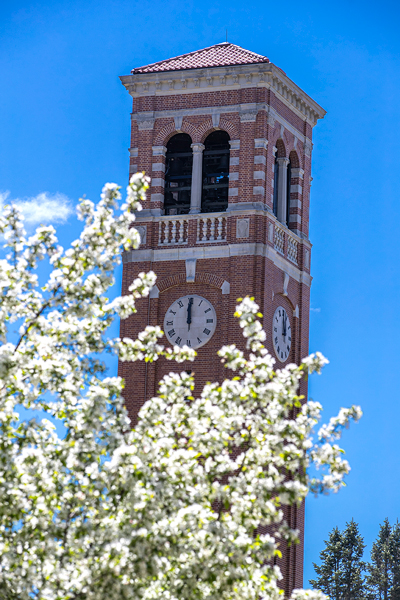 the UNI Campanile with flowers in the spring time